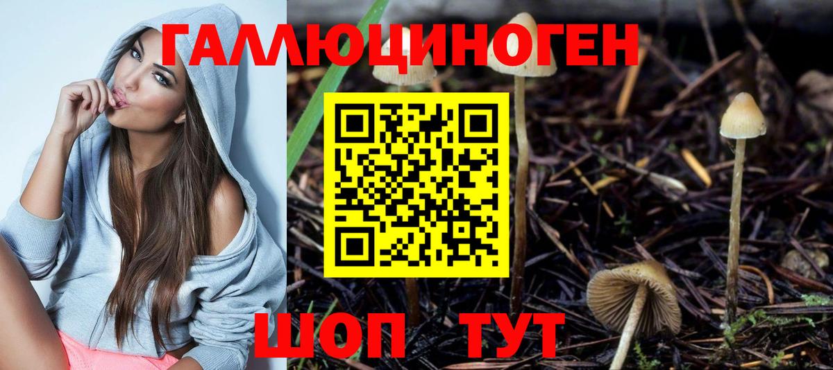 Псилоцибиновые грибы Cubensis Ялуторовск